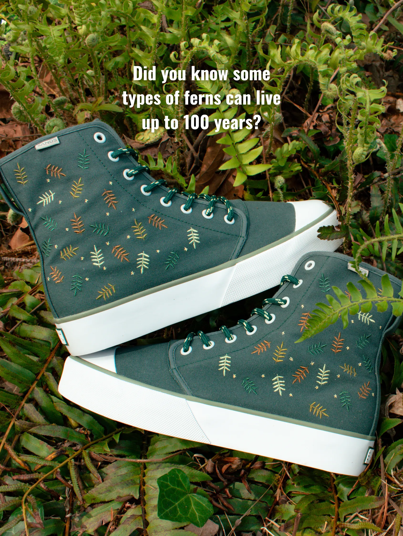 Forest Fern Platform High Top