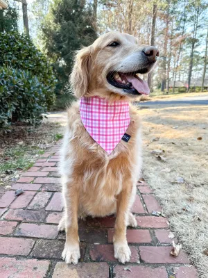 Raspberry Plaid Dog Bandana